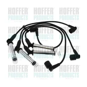 101019 HOFFER