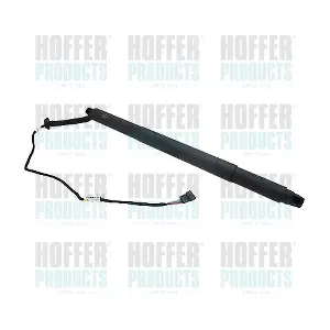 H301005 HOFFER