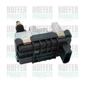6200099 HOFFER