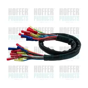 25062 HOFFER