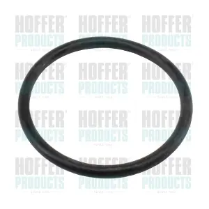 HOFFER 01661