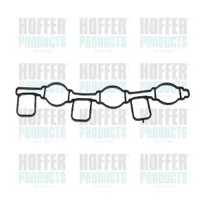 HOFFER 01650