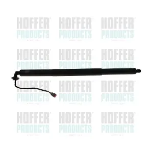 H301129 HOFFER