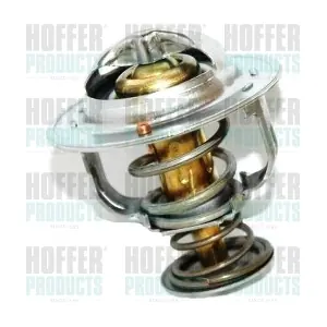8192797 HOFFER