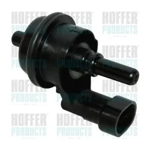 8029306 HOFFER