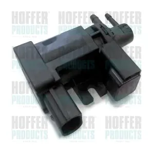 HOFFER 8029096