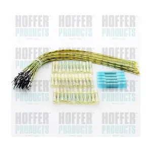 25082 HOFFER