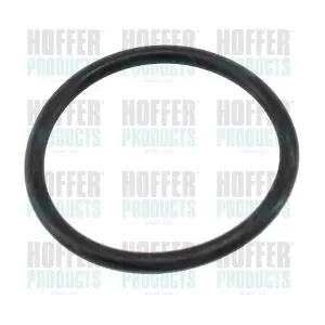 HOFFER 01657