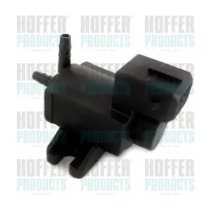 8029599 HOFFER