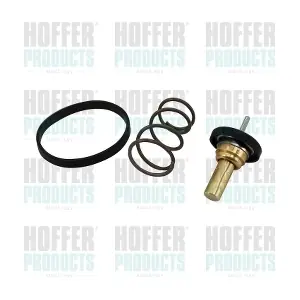 110600968R AUTOMOTOR France