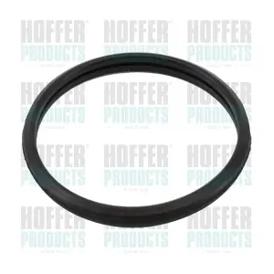 01677 HOFFER