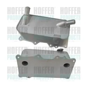 8095138 HOFFER