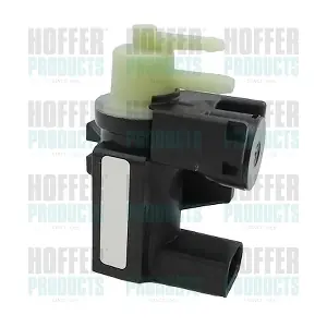 8029873 HOFFER