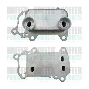 HOFFER 8095268