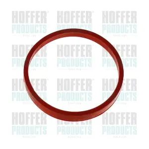 016250 HOFFER