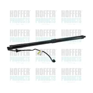 H301098 HOFFER