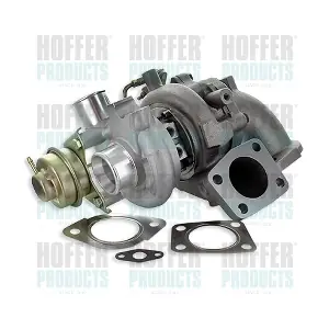6900053 HOFFER