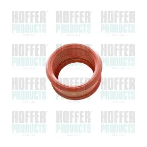 96252 HOFFER