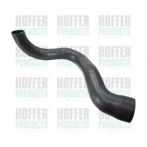 961209 HOFFER