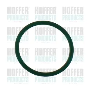 98809 HOFFER