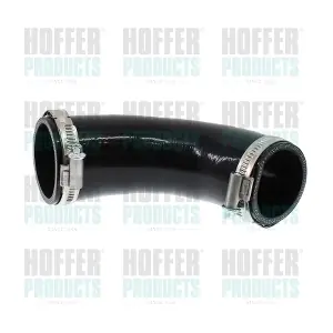 961031 HOFFER