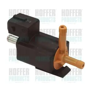 8029234 HOFFER