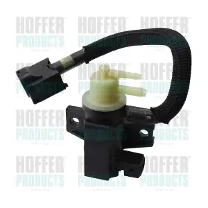 80299031 HOFFER