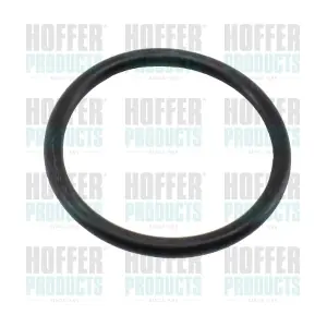 01699 HOFFER