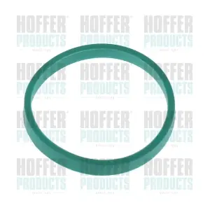 016166 HOFFER