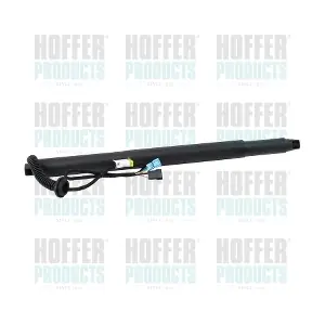 H301071 HOFFER