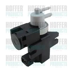 8029729 HOFFER