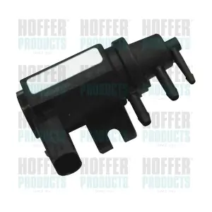 8029133 HOFFER