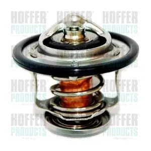 HOFFER 8192141