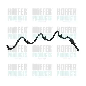 8029843 HOFFER