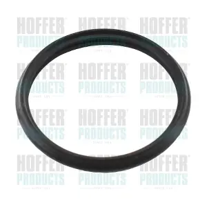 016110 HOFFER