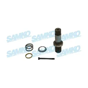 DS61196 SAMKO