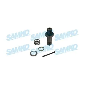 DS61187 SAMKO