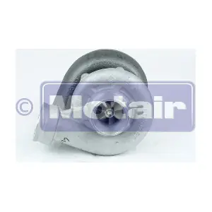 316713 BorgWarner (3K)