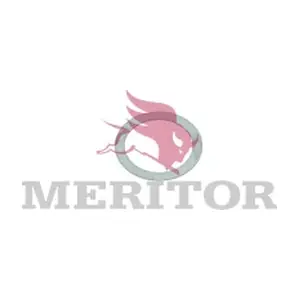 21006627 MERITOR