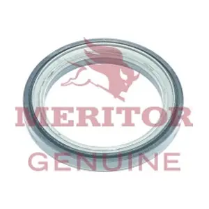 21220132PK10 MERITOR