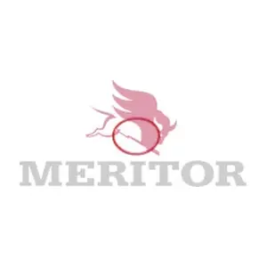 21220158 MERITOR