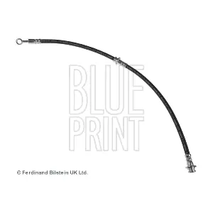 ADN153134 BLUE PRINT