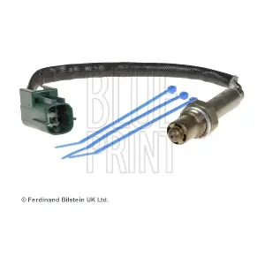 BLUE PRINT ADN17038