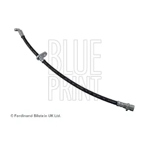 ADH253127 BLUE PRINT