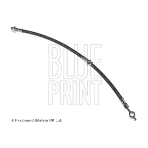ADN153132 BLUE PRINT