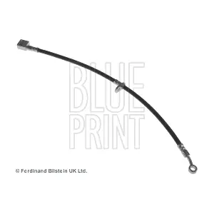 ADH253194 BLUE PRINT
