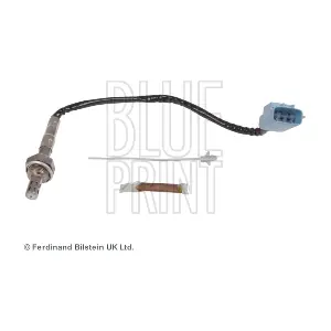 BLUE PRINT ADN17042