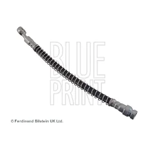 BLUE PRINT ADG053117