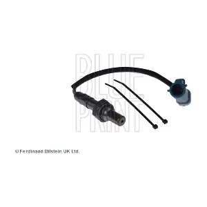 BLUE PRINT ADJ137025
