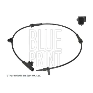ADN17164 BLUE PRINT